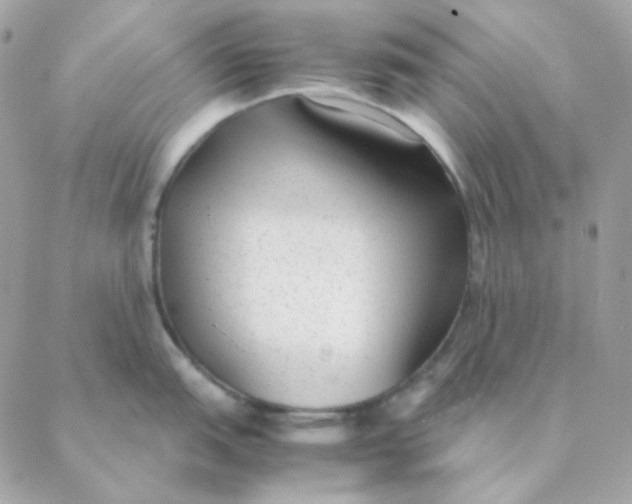 X0000088581151200706151705