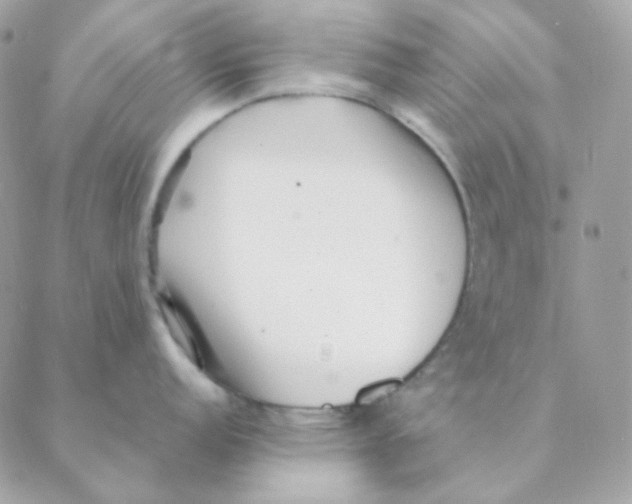 X0000088581152200706151705