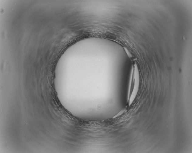 X0000088581153200706151704