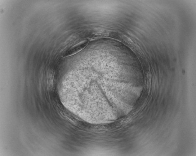 X0000088581154200706151704