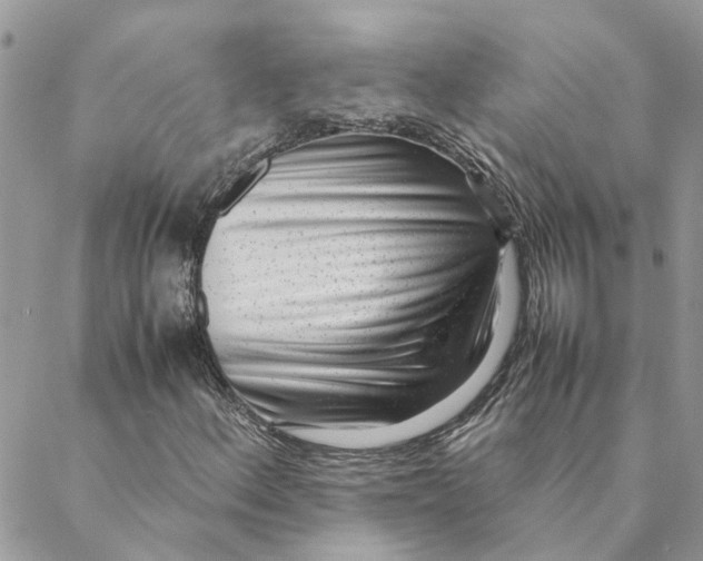 X0000088581156200706151704