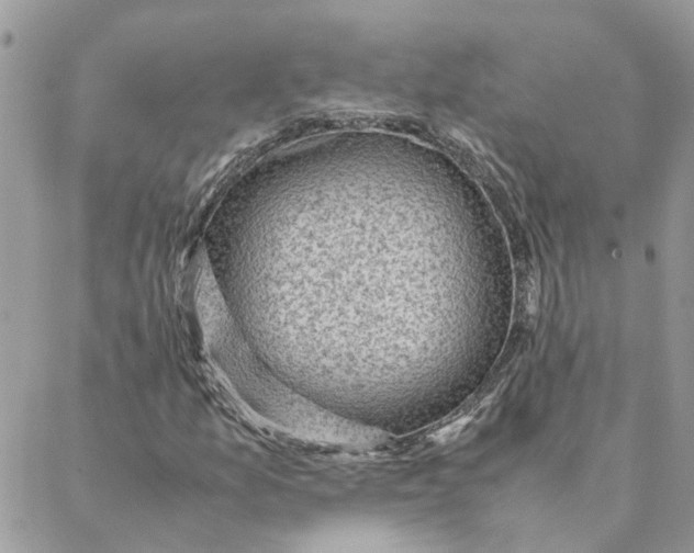 X0000088581157200706151704