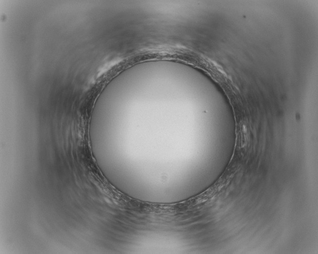 X0000088581158200706151704