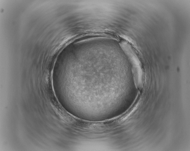 X0000088581161200706151704