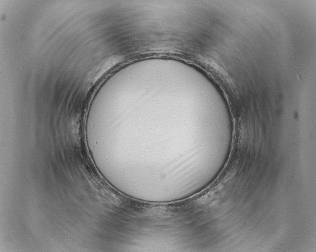 X0000088581162200706151704