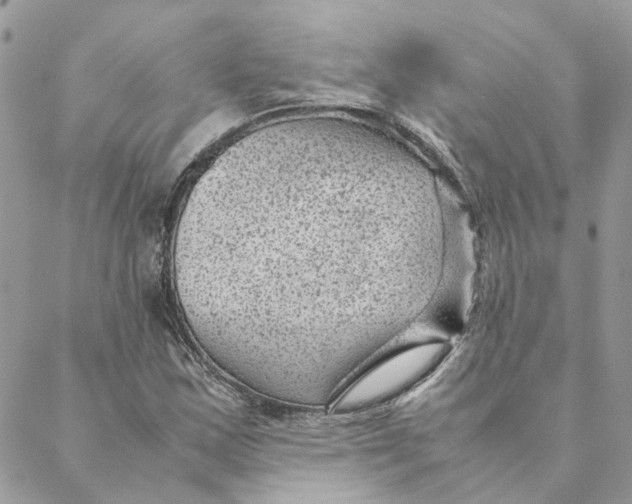 X0000088581163200706151704