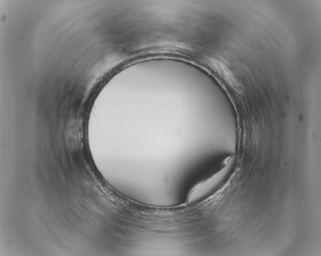 X0000088581164200706151704