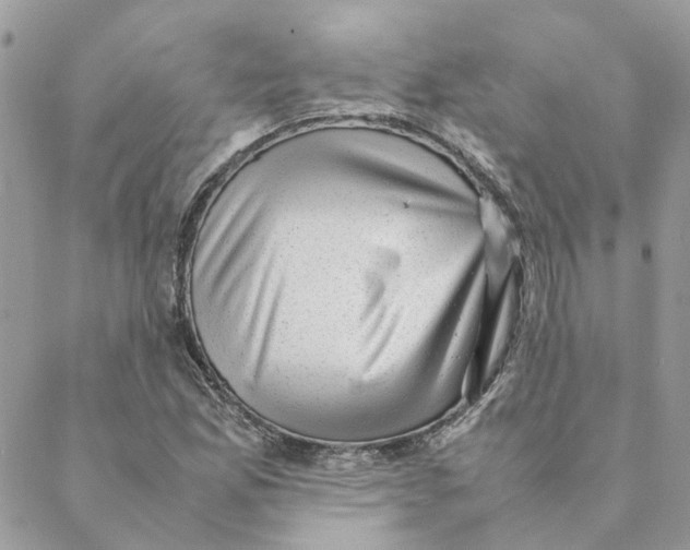 X0000088581165200706151704