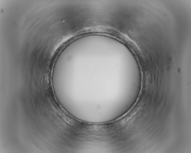 X0000088581166200706151704