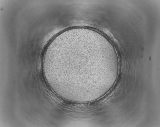 X0000088581167200706151704