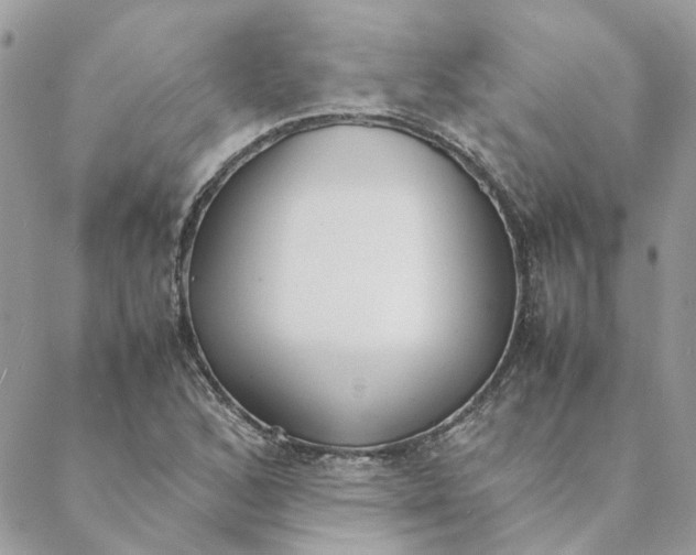 X0000088581168200706151704