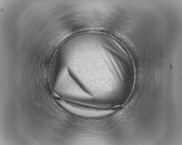 X0000088581169200706151704