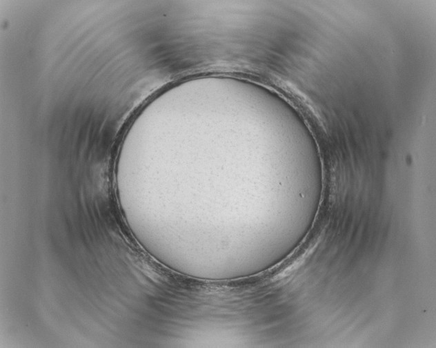 X0000088581170200706151704