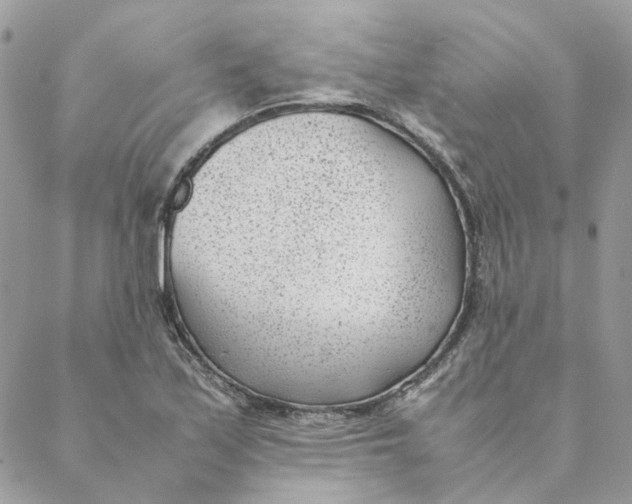 X0000088581171200706151704