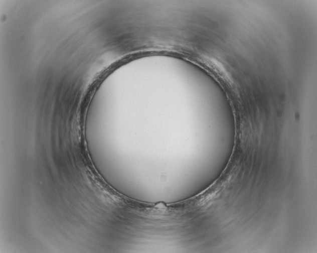 X0000088581172200706151704