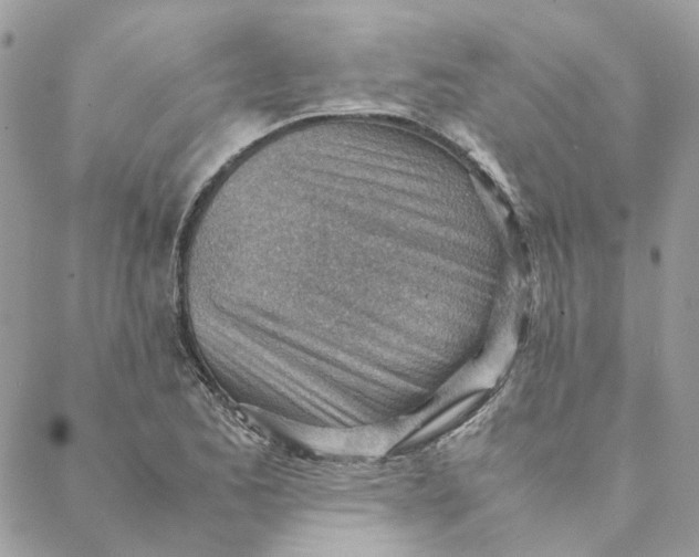 X0000088581173200706151704