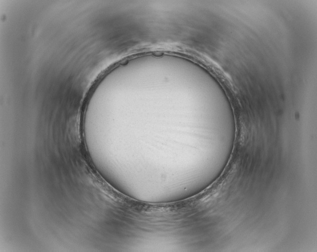 X0000088581174200706151704