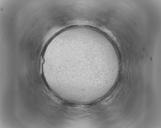 X0000088581175200706151704