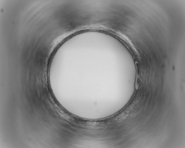 X0000088581176200706151704