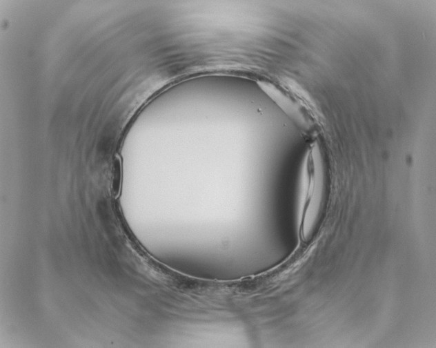 X0000088581177200706151704