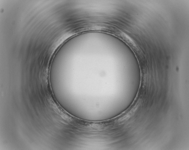 X0000088581178200706151704