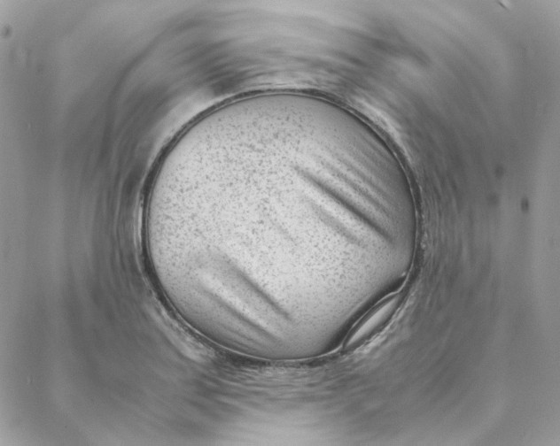 X0000088581179200706151704