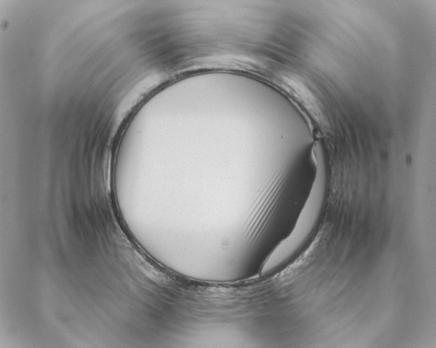 X0000088581180200706151704