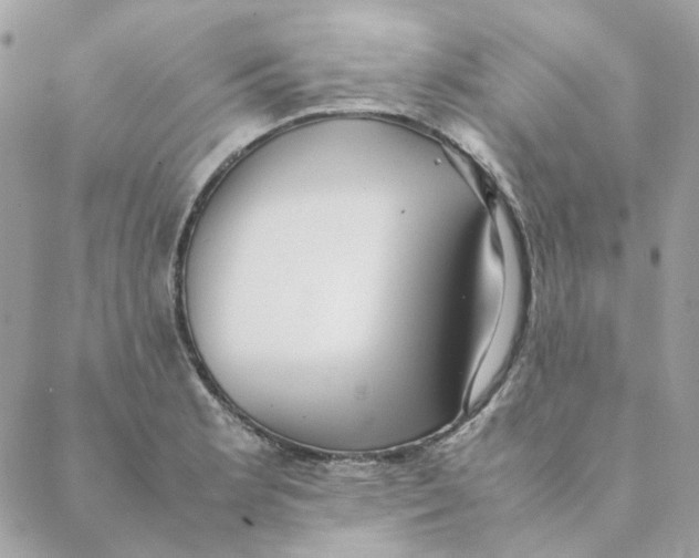 X0000088581181200706151704