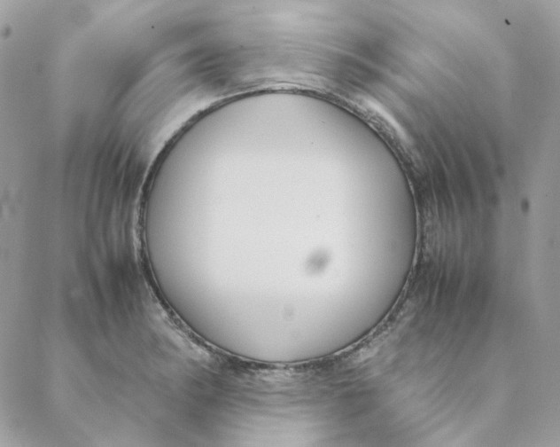 X0000088581182200706151704