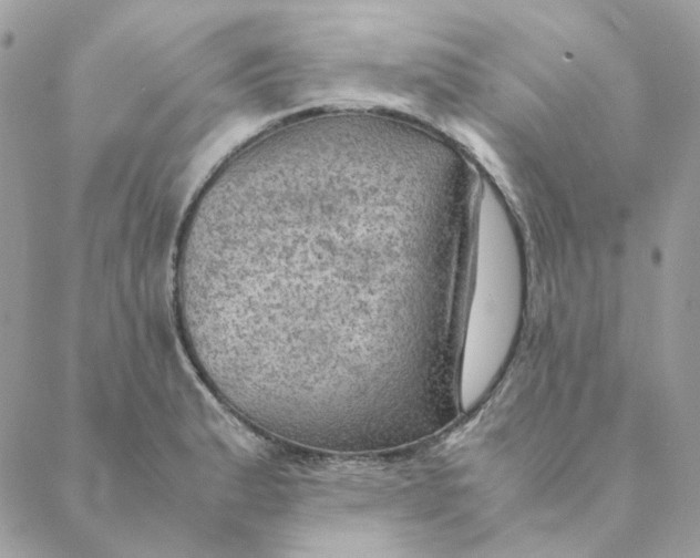 X0000088581183200706151704