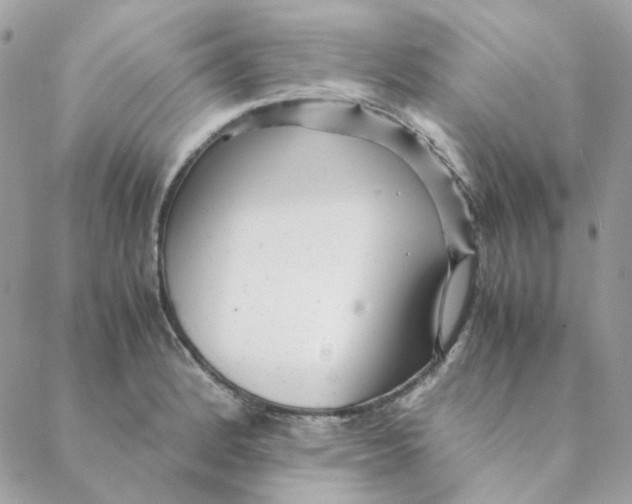 X0000088581184200706151704