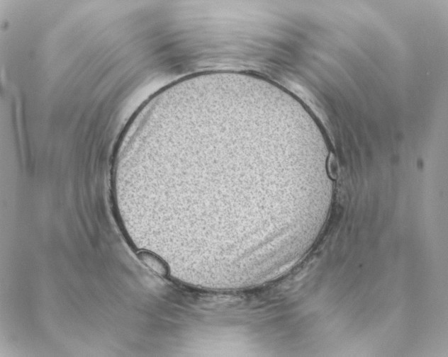 X0000088581187200706151704