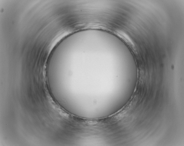 X0000088581190200706151704