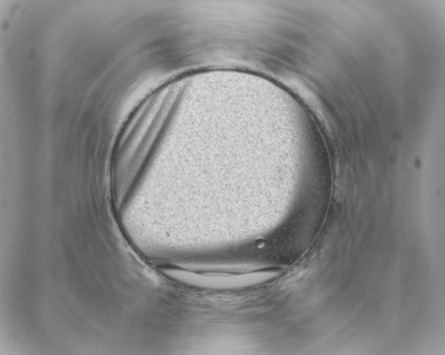 X0000088581191200706151704