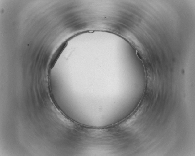 X0000088581192200706151704