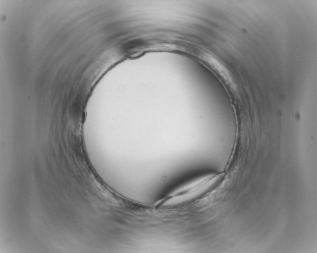 X0000088581193200706151704