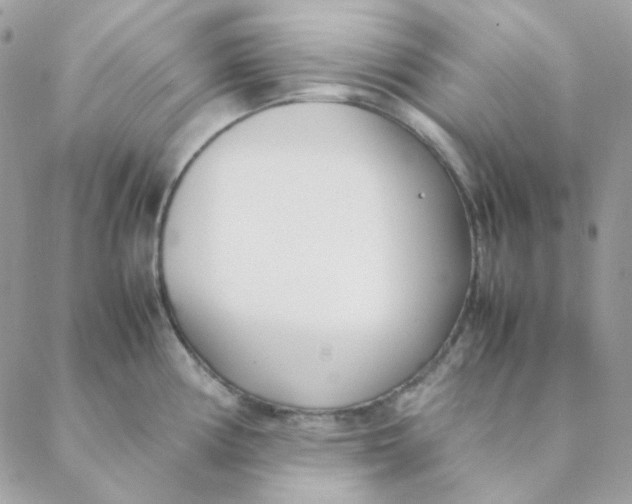 X0000088581194200706151704