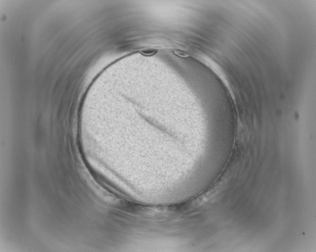 X0000088581195200706151704