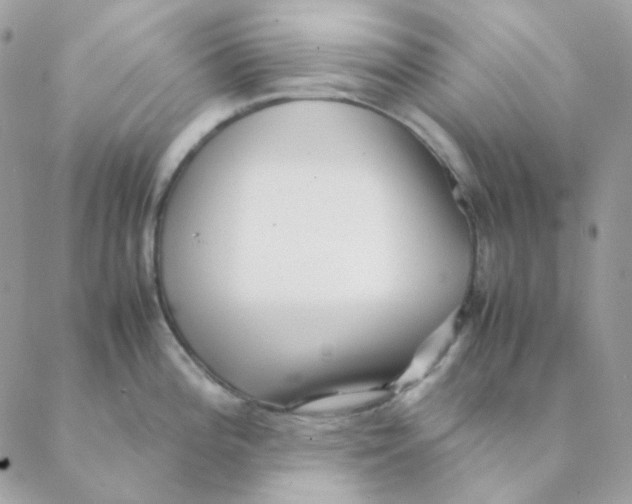 X0000088581196200706151703