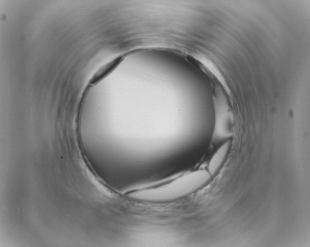 X0000088581197200706151703