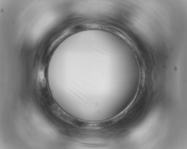 X0000088581198200706151703