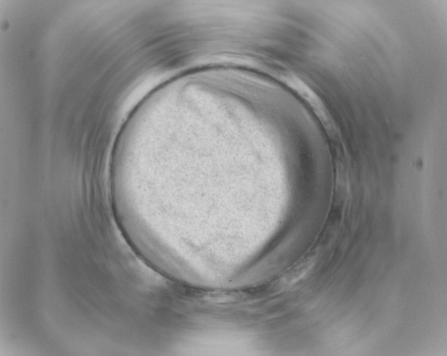 X0000088581199200706151703