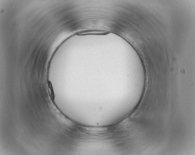 X0000088581200200706151703