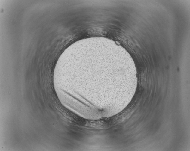 X0000088581201200706151703