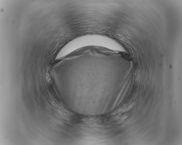 X0000088581202200706151703