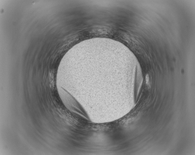 X0000088581203200706151703