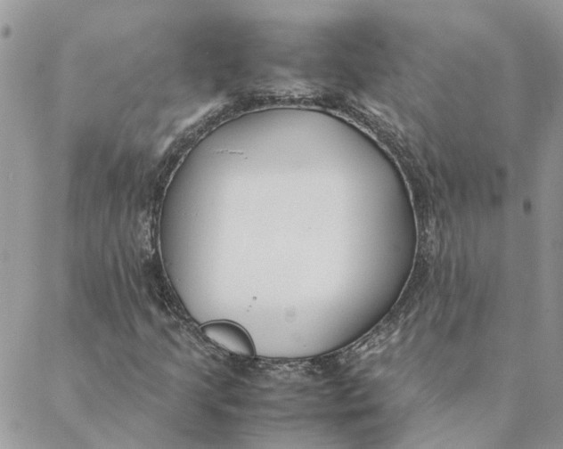 X0000088581205200706151703