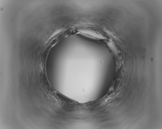 X0000088581206200706151703