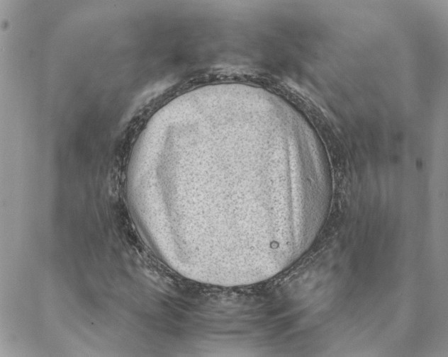 X0000088581207200706151703