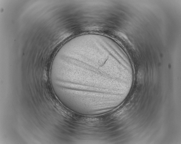 X0000088581209200706151703